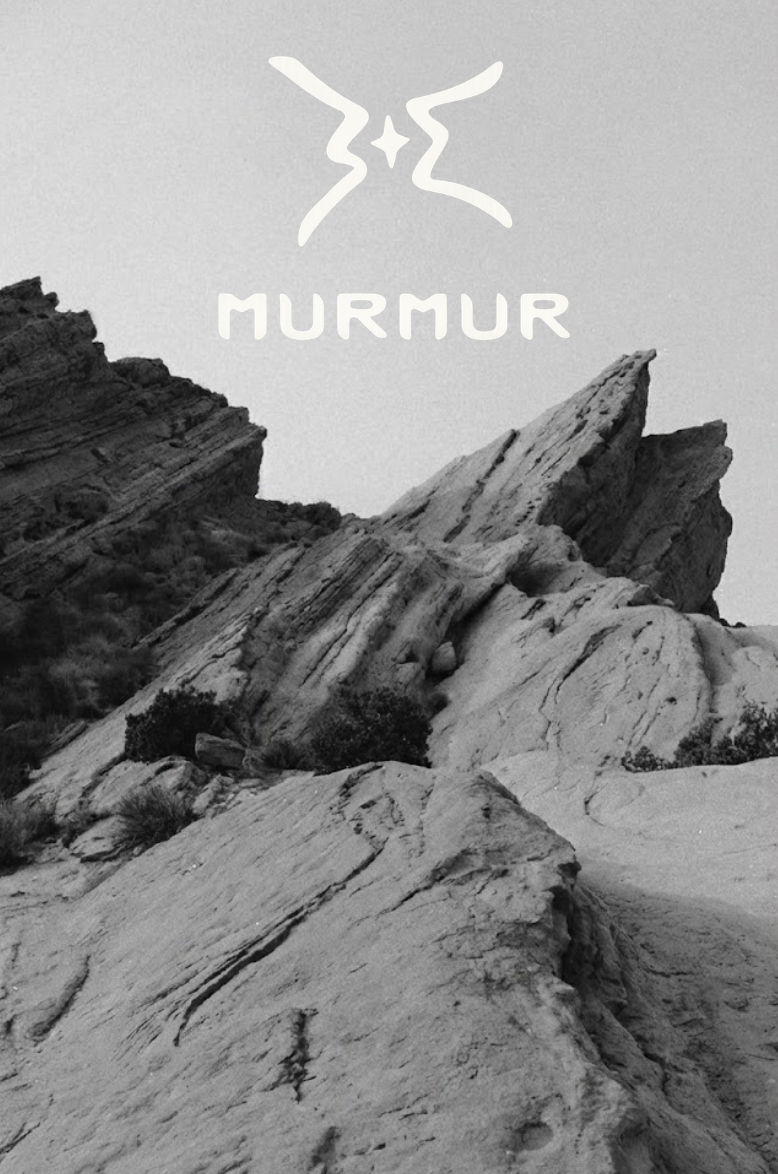 Black and white landscape